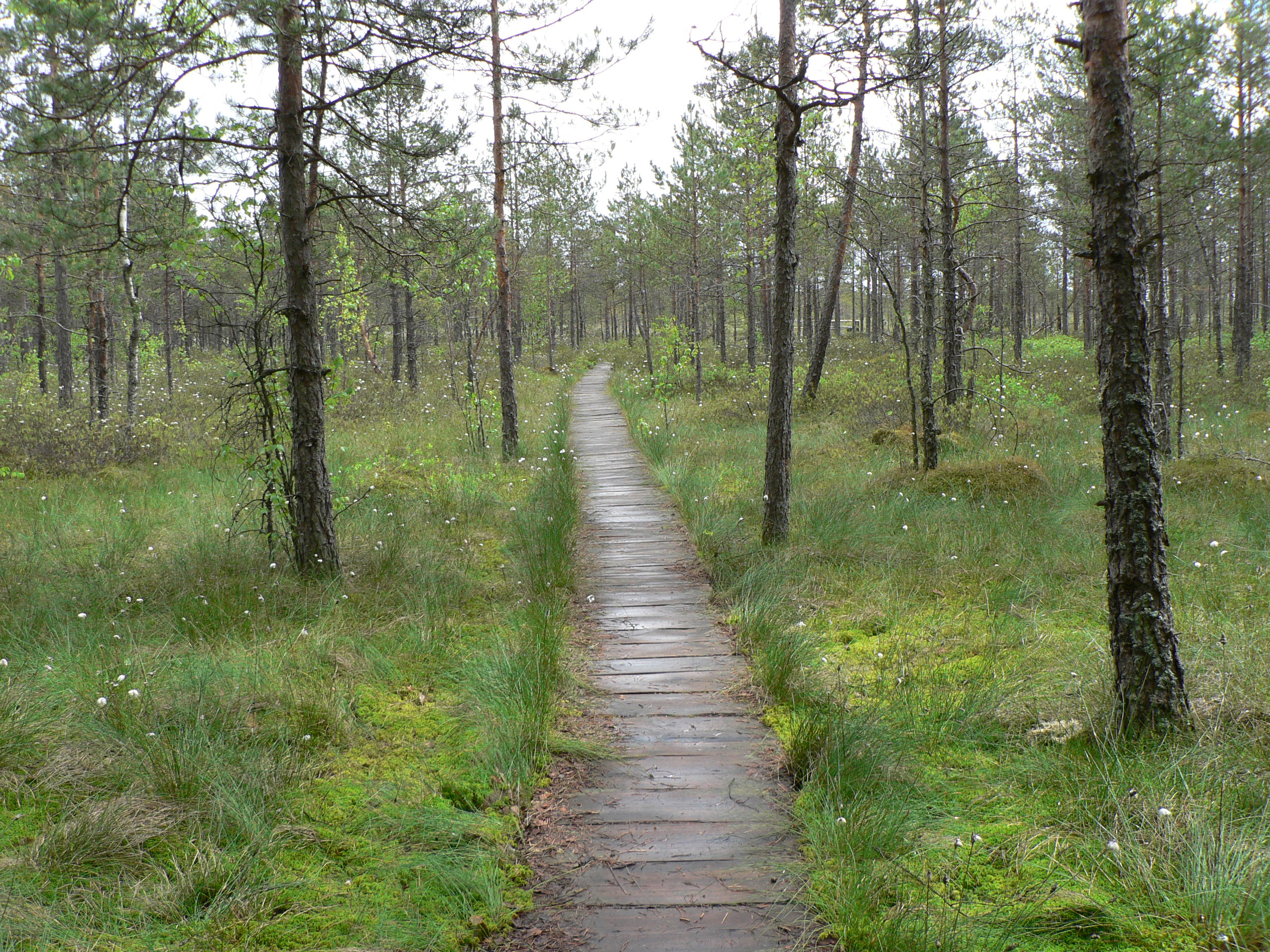 Dzūkija National Park
