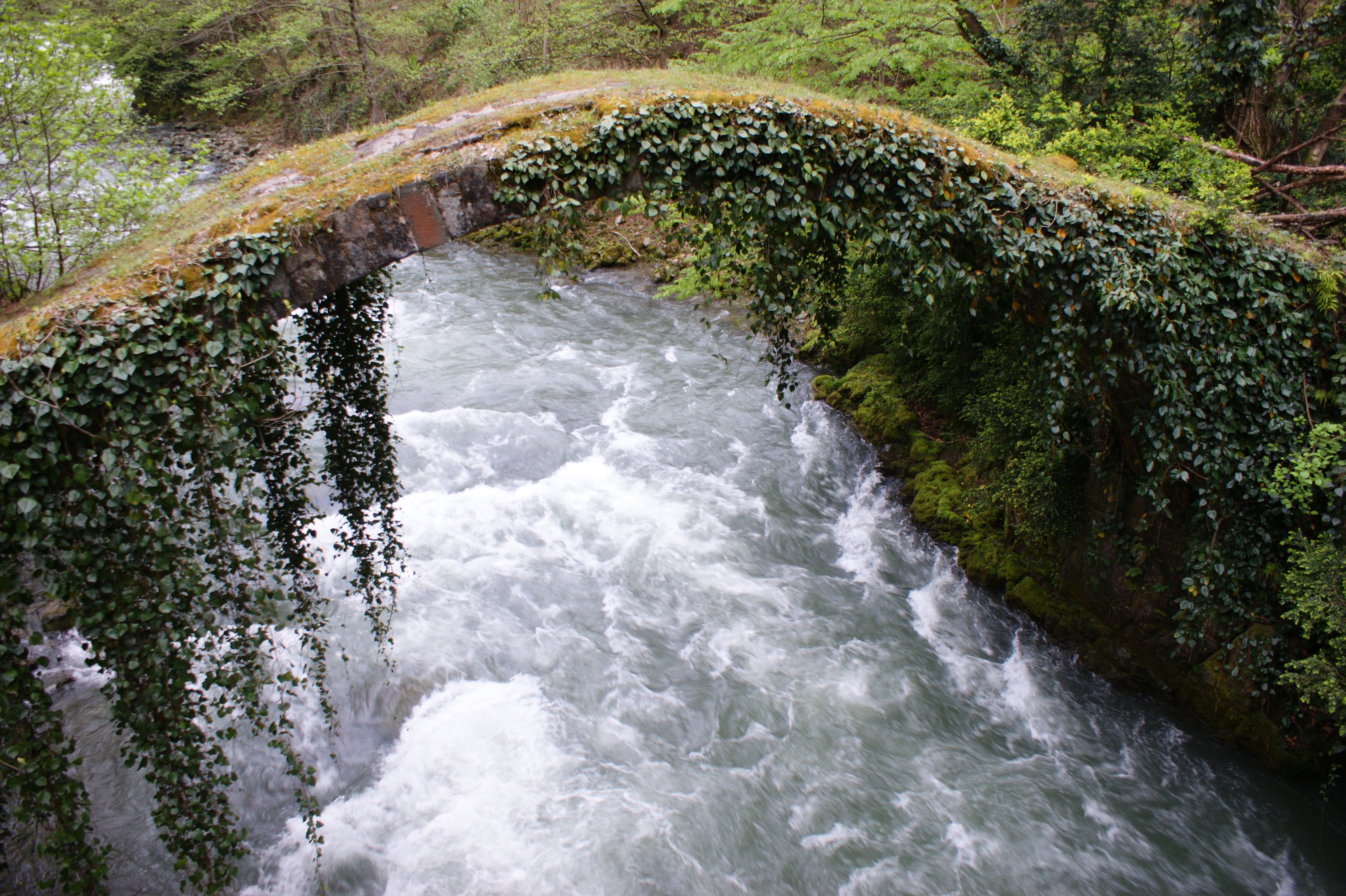 Kintrishi Protected Landscape