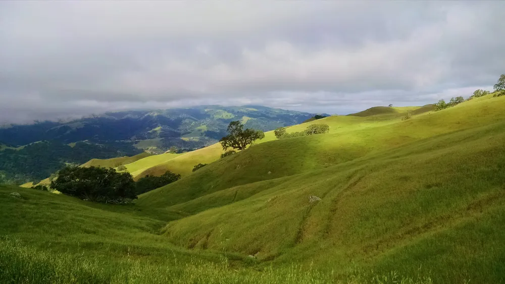 Ohlone Wilderness Trail