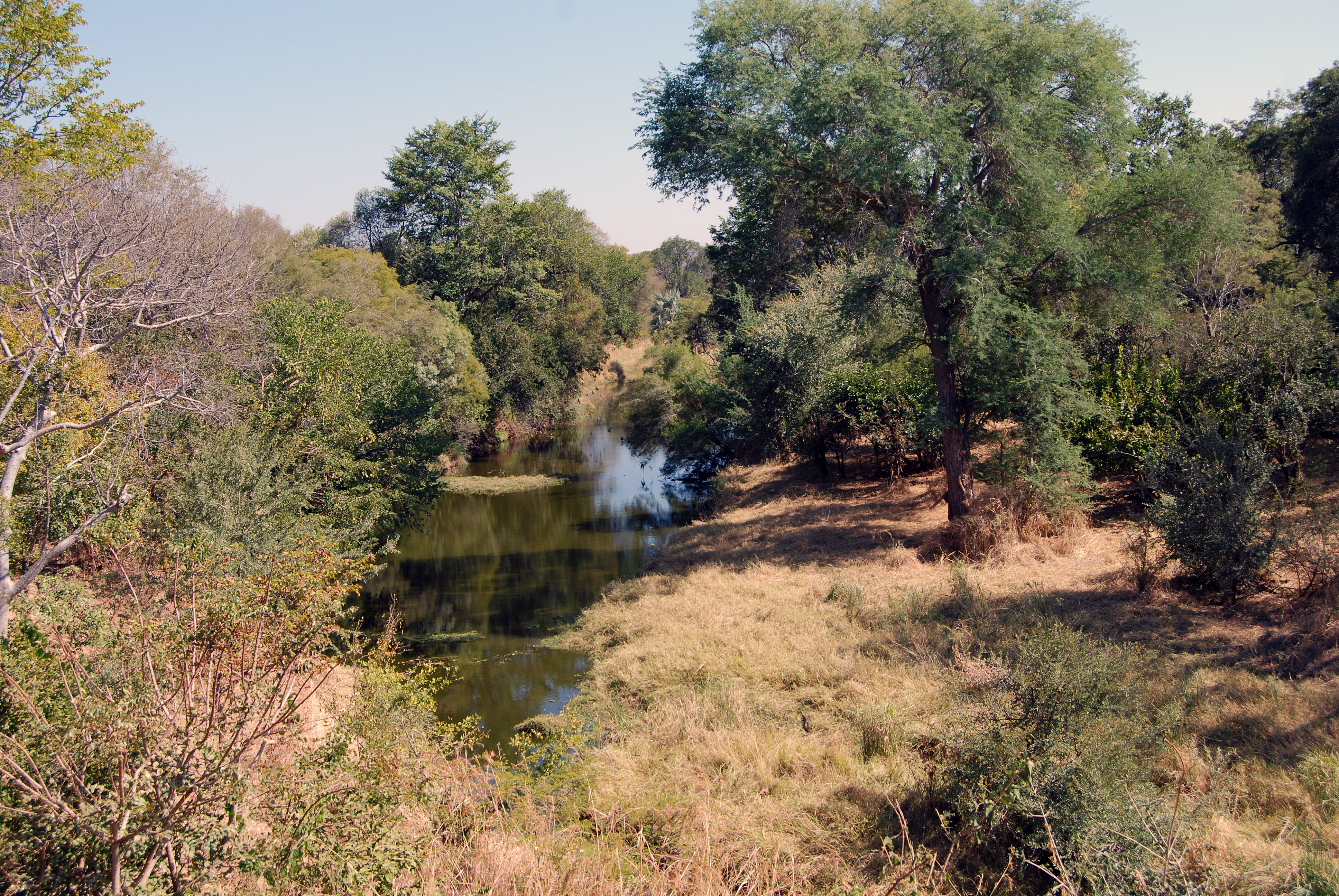 Zambezi National Park