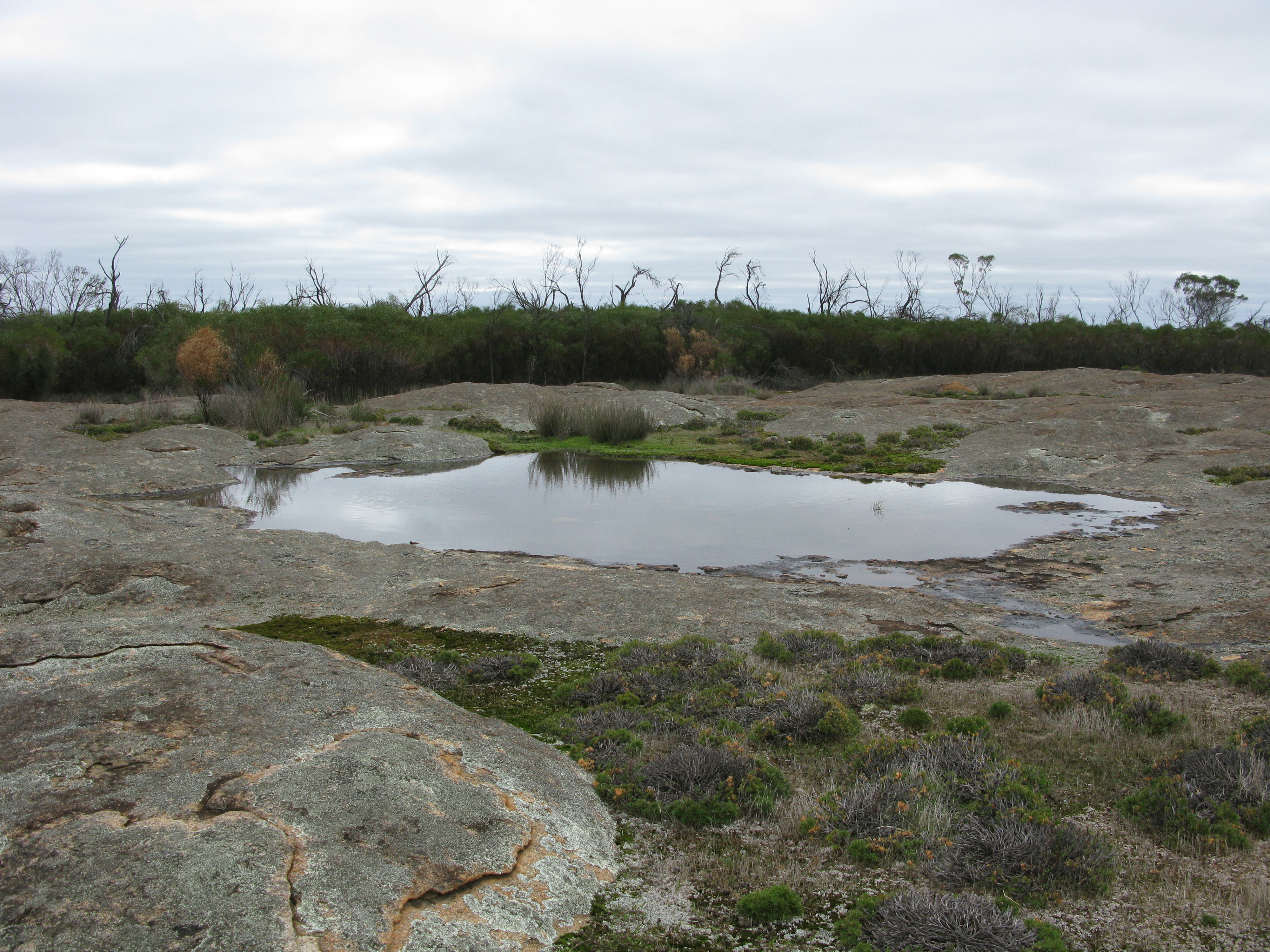 Frank Hann National Park