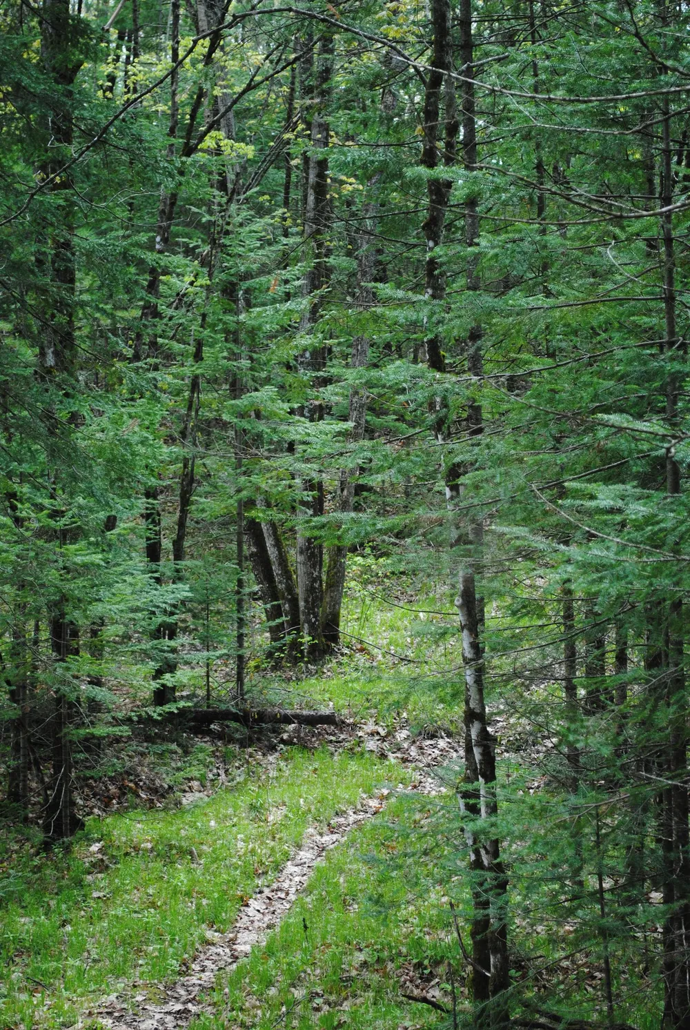 Ice Age Trail