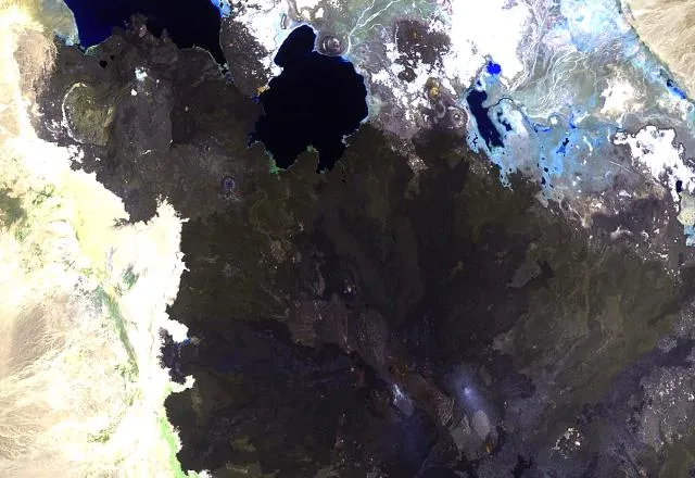 Alu