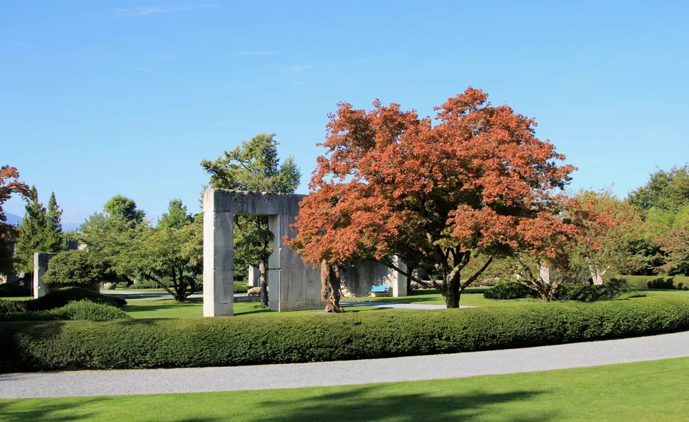 Enea Tree Museum