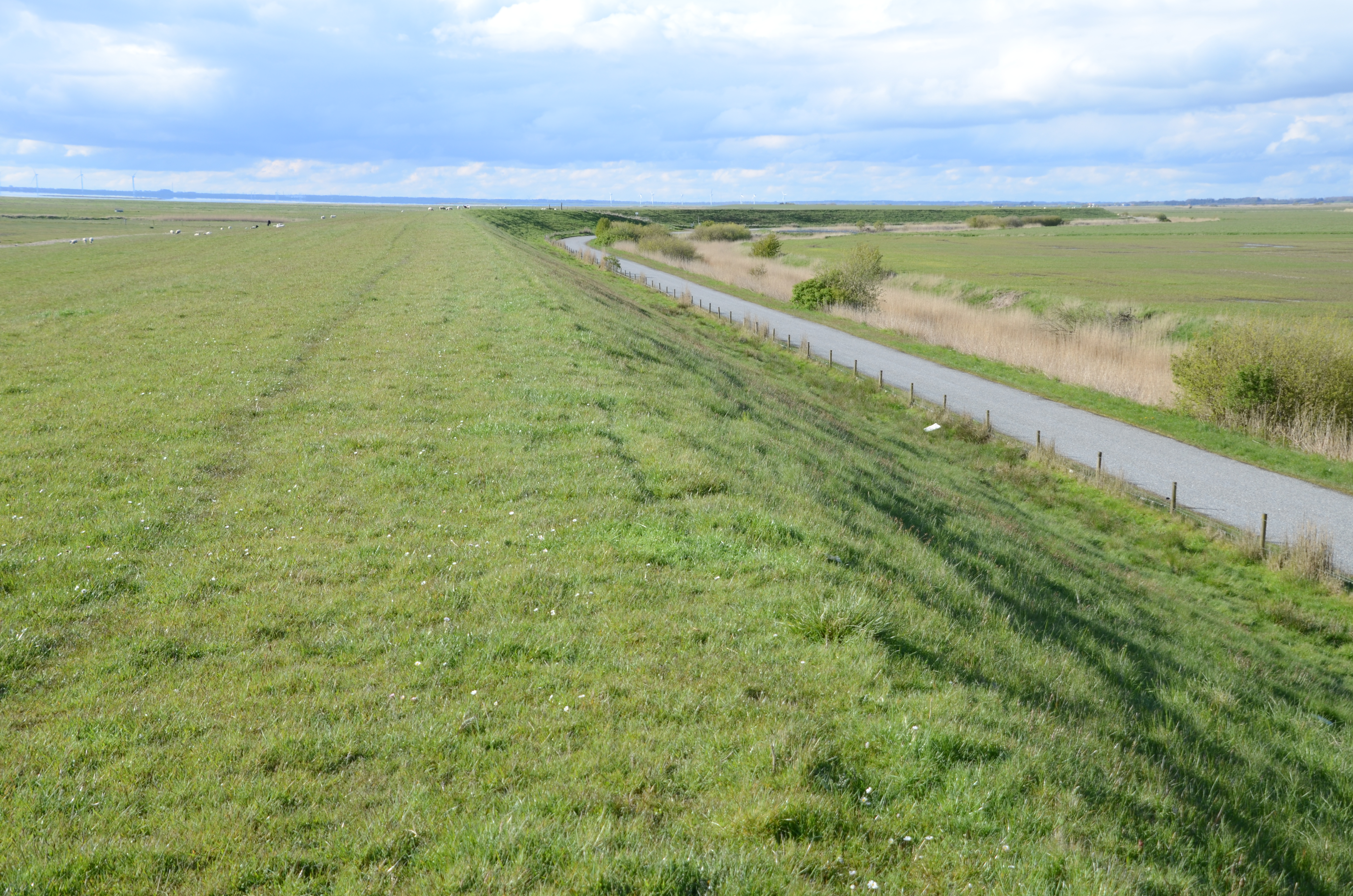 Wadden Sea National Park, Denmark