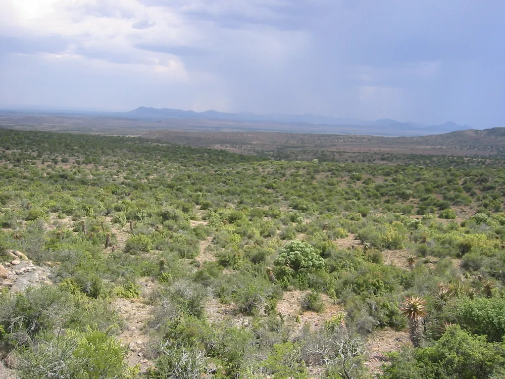 Pixley ka Seme District Municipality, South Africa
