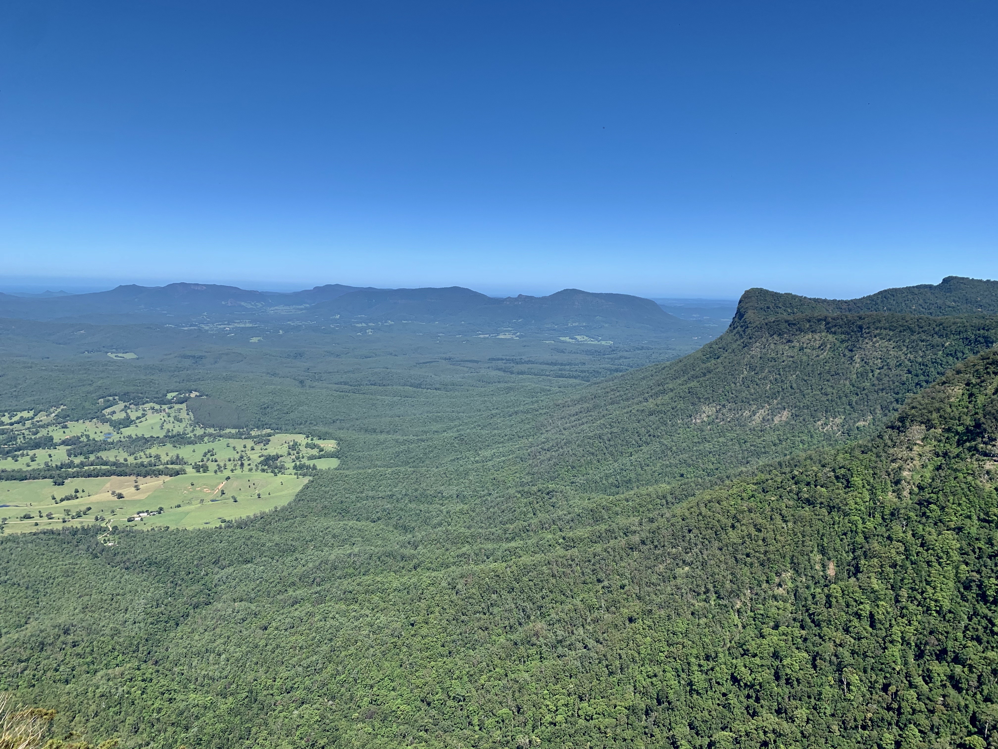 Border Ranges National Park, Australia