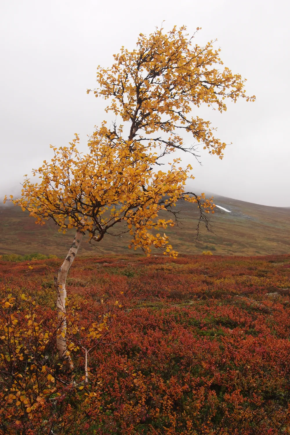 Jämtland Triangle, Sweden