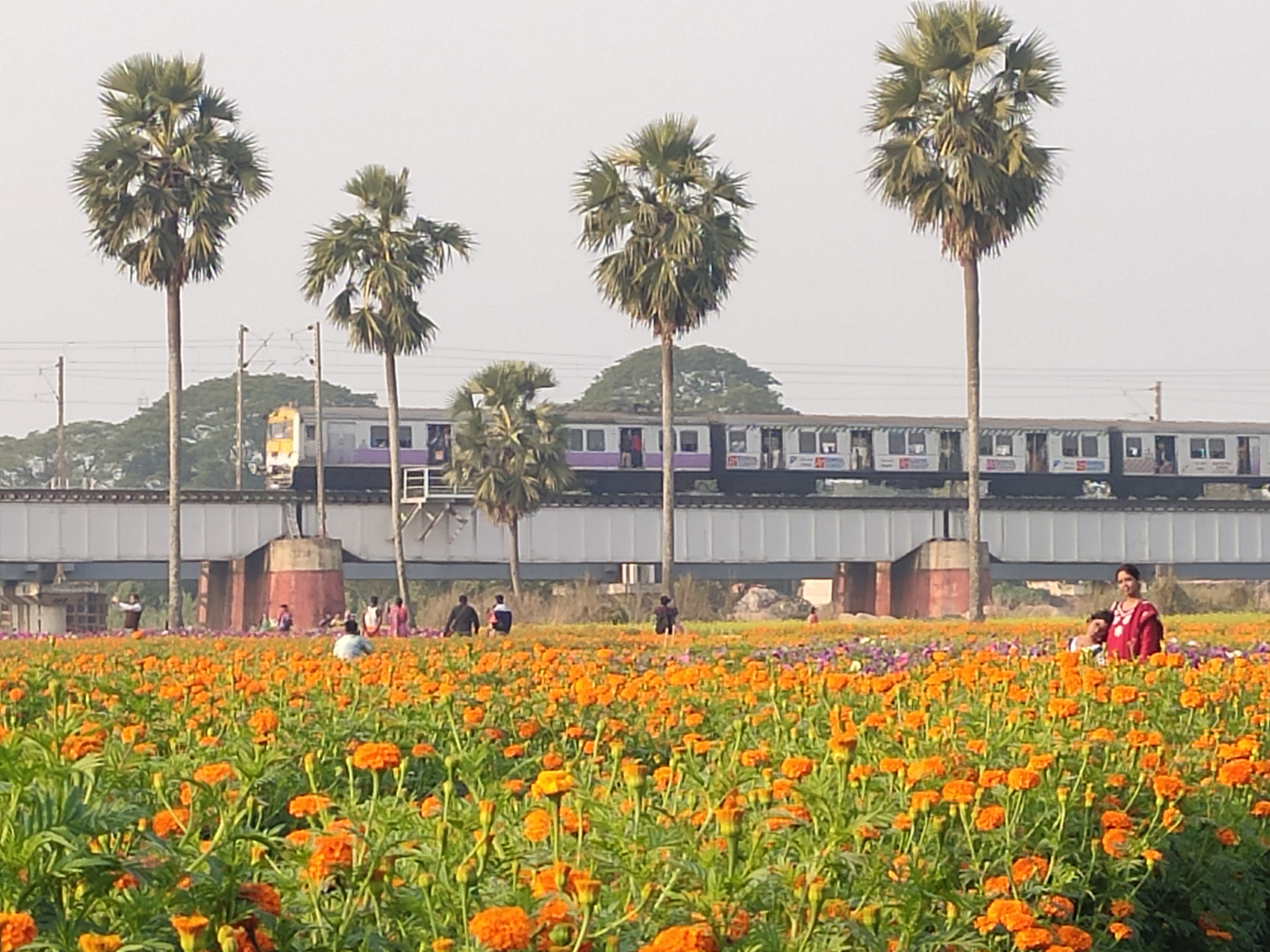 Panskura, India