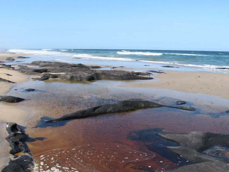 Broadwater National Park