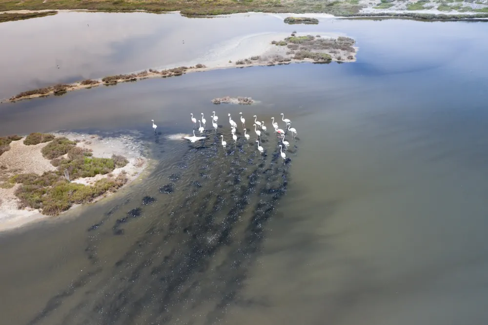 Axios-Loudias-Aliakmonas Delta National Park