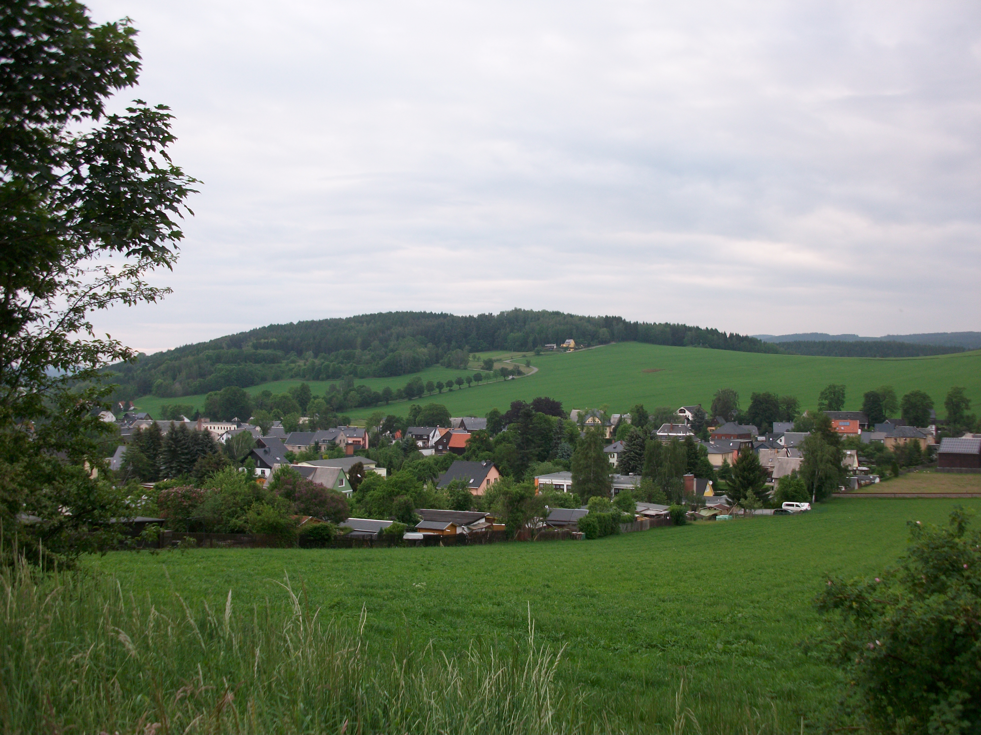 Knochen