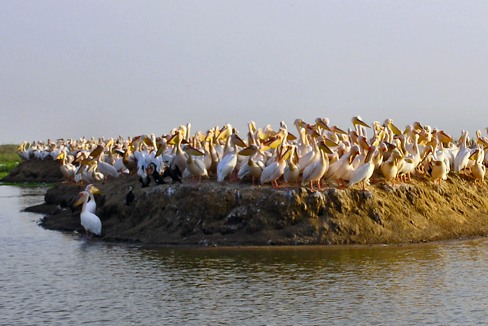 Northern Senegal, Senegal