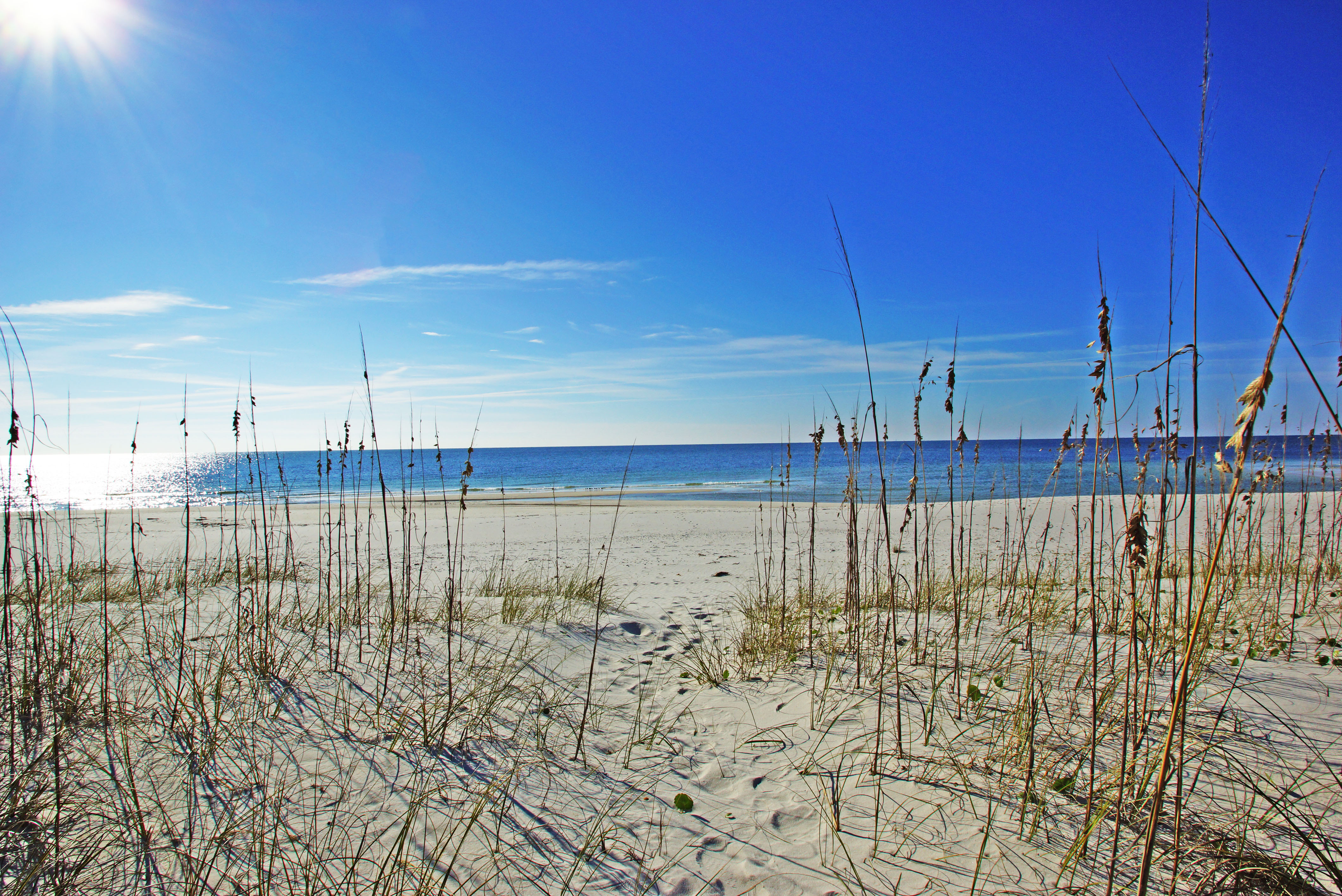 Gulf Shores, United States