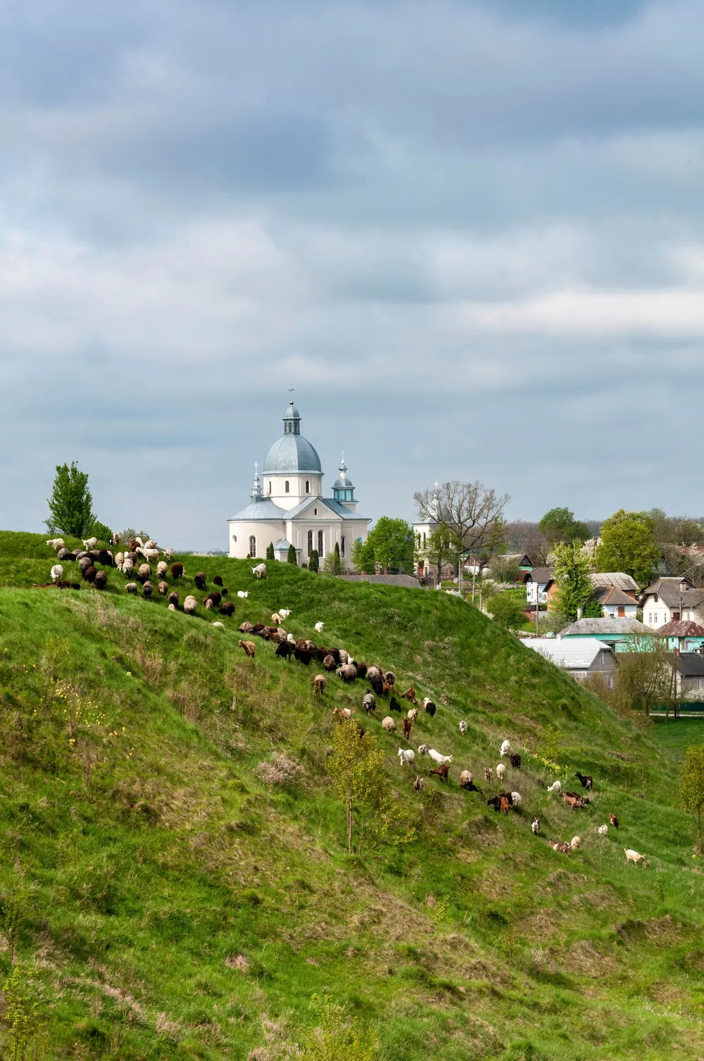 Place of Shmankivtsi Castle