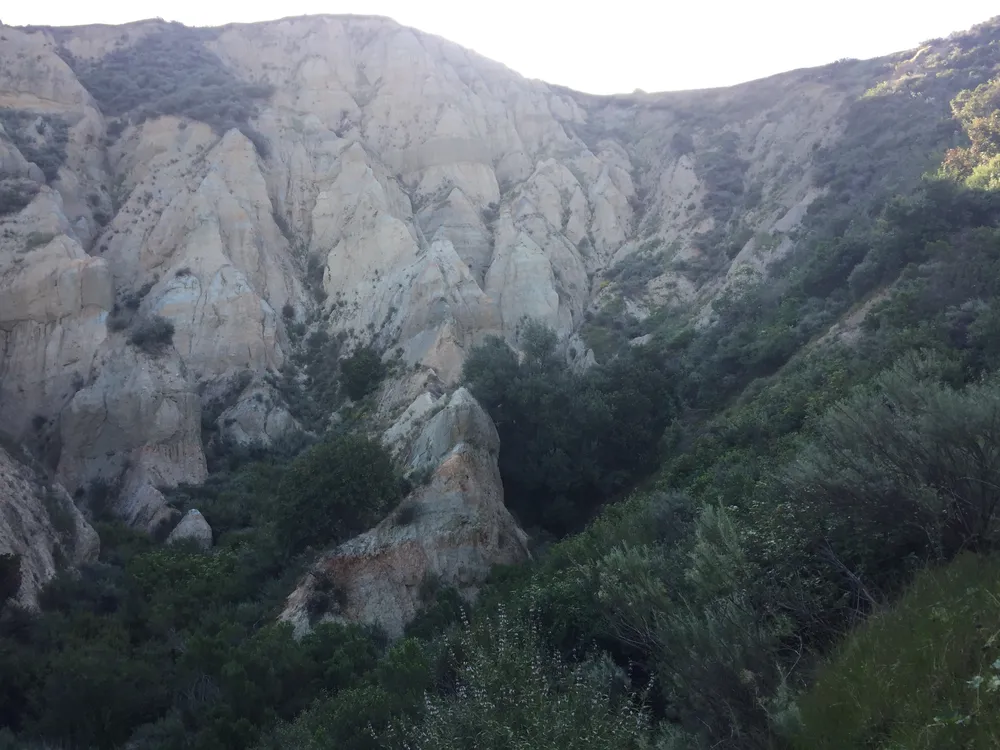 Hiking in the East Bay, United States