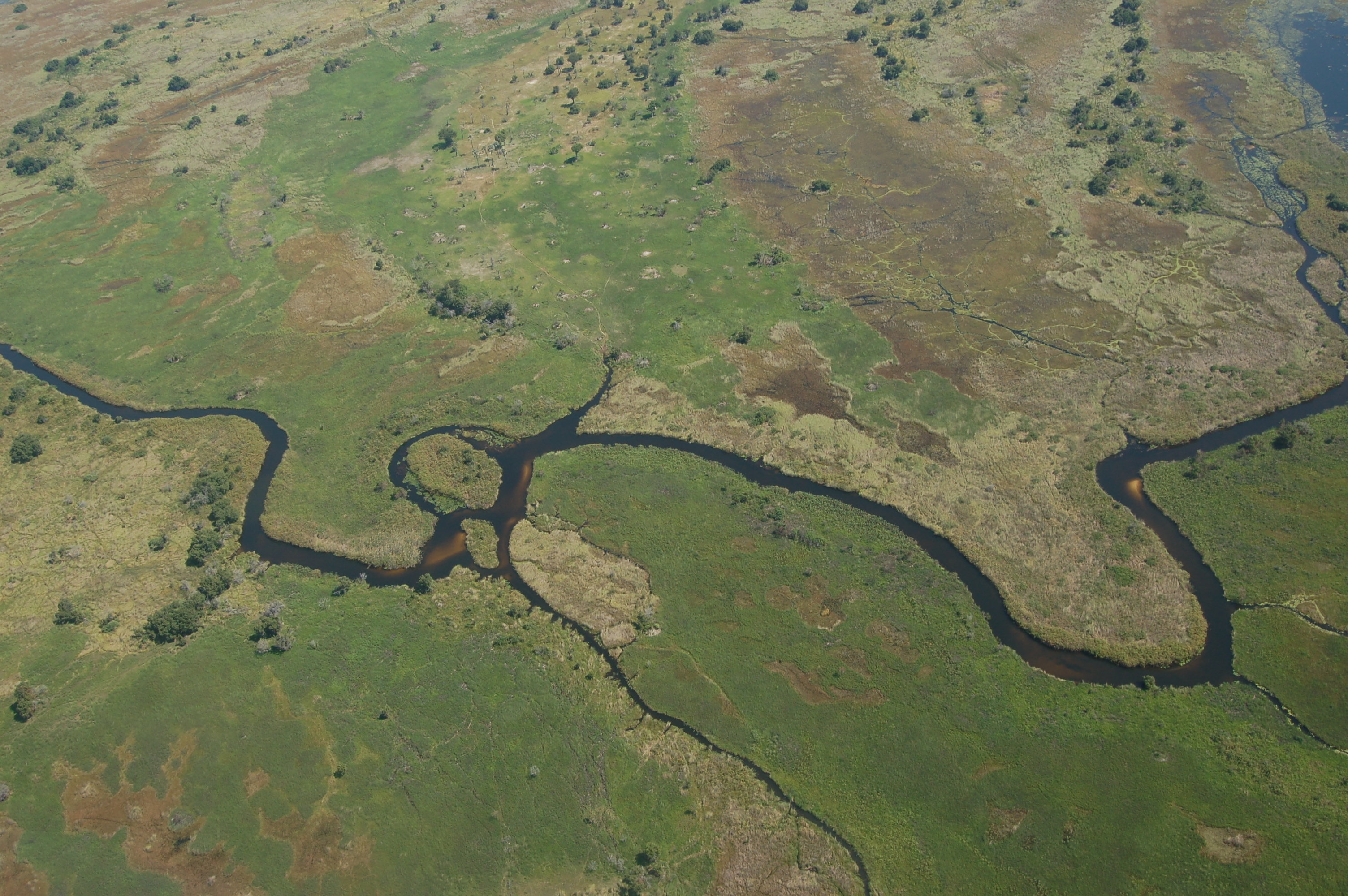 Okavango Delta