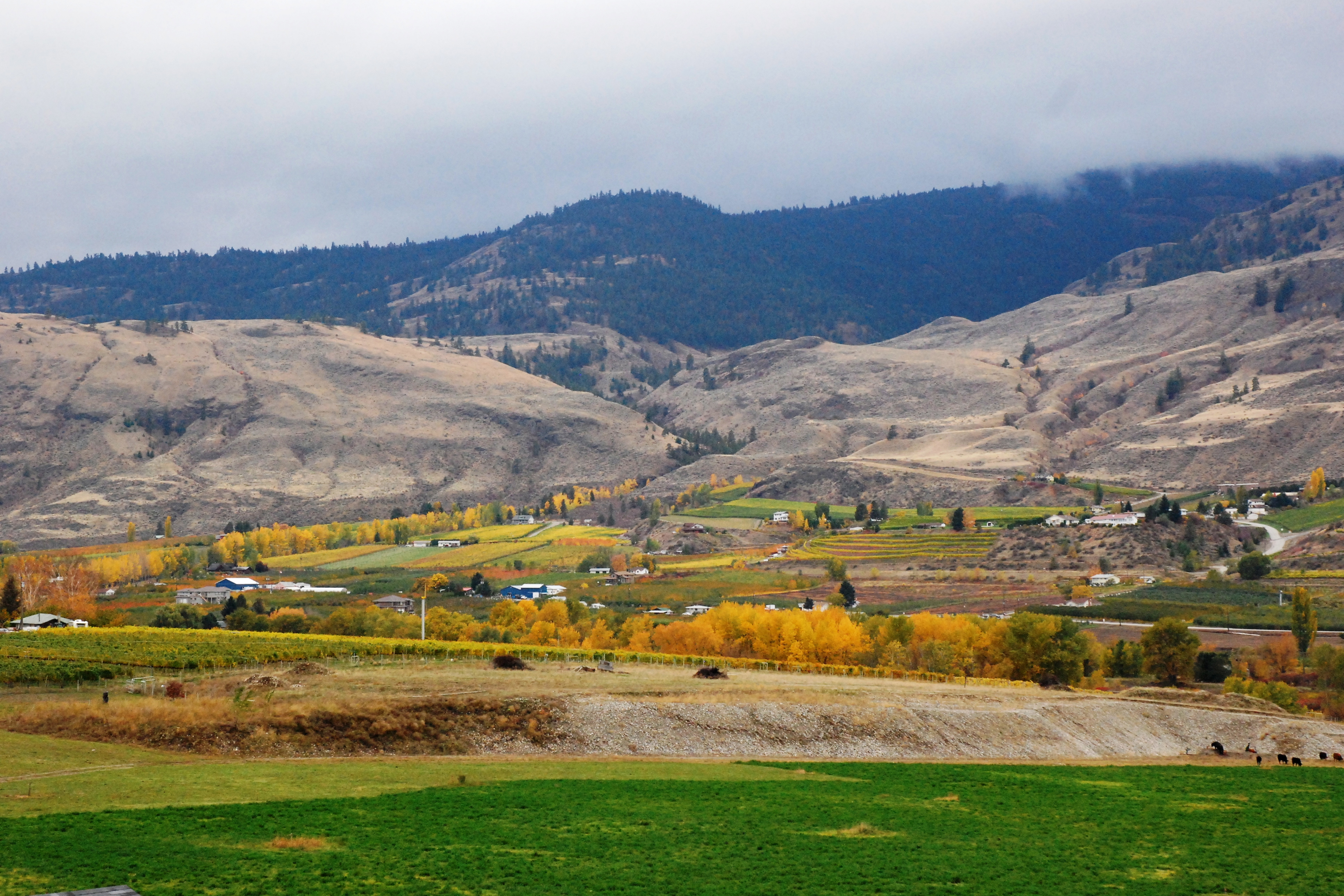 Oliver, Canada