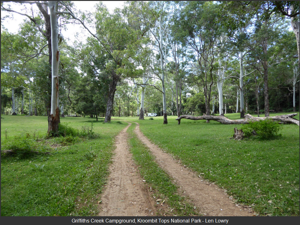 Kroombit Tops National Park