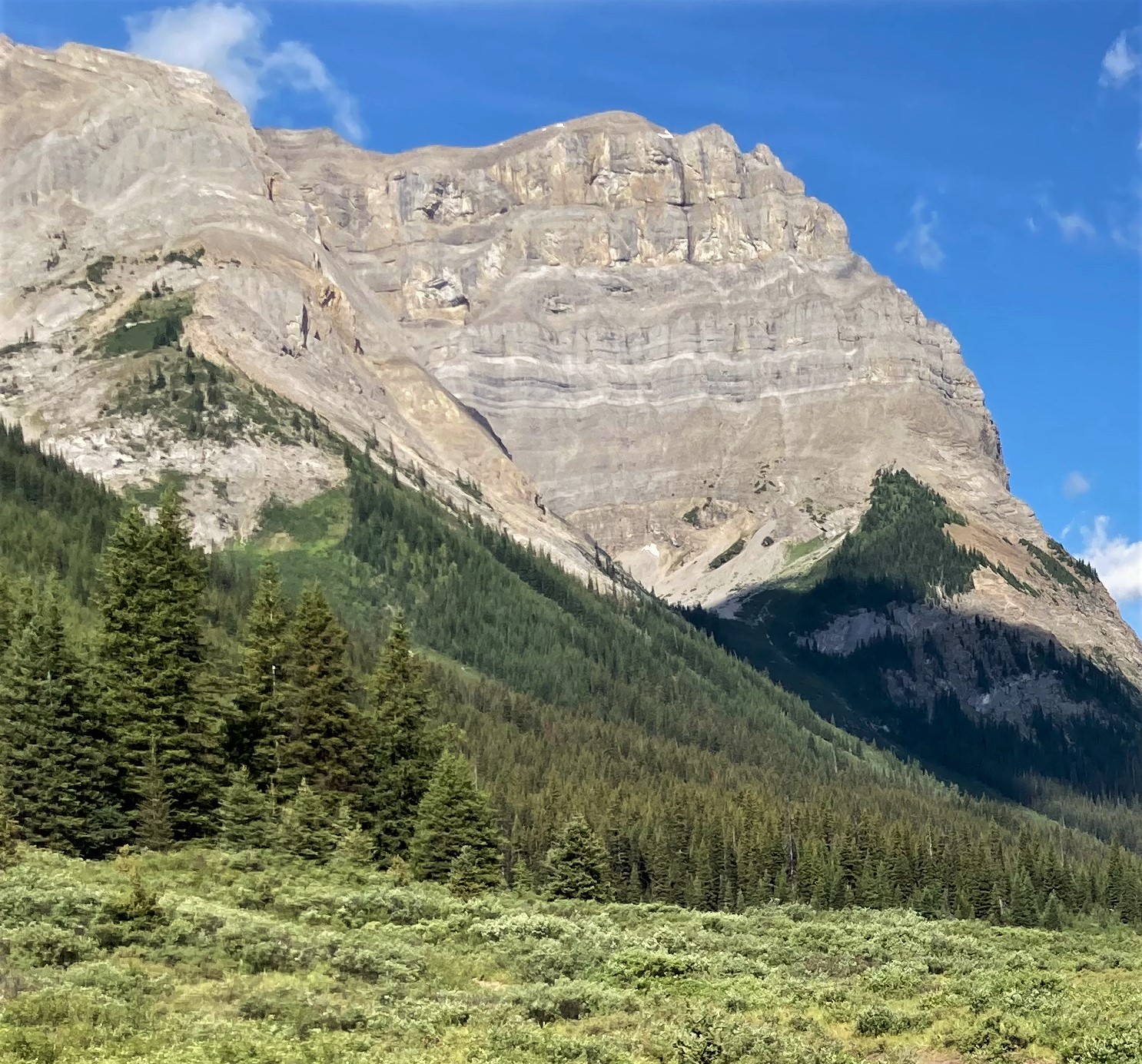 Mount Cautley