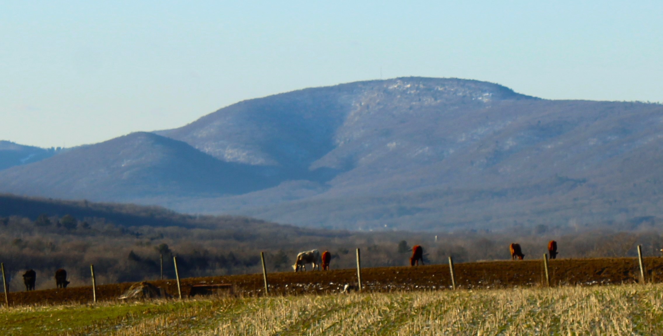 Big Mountain