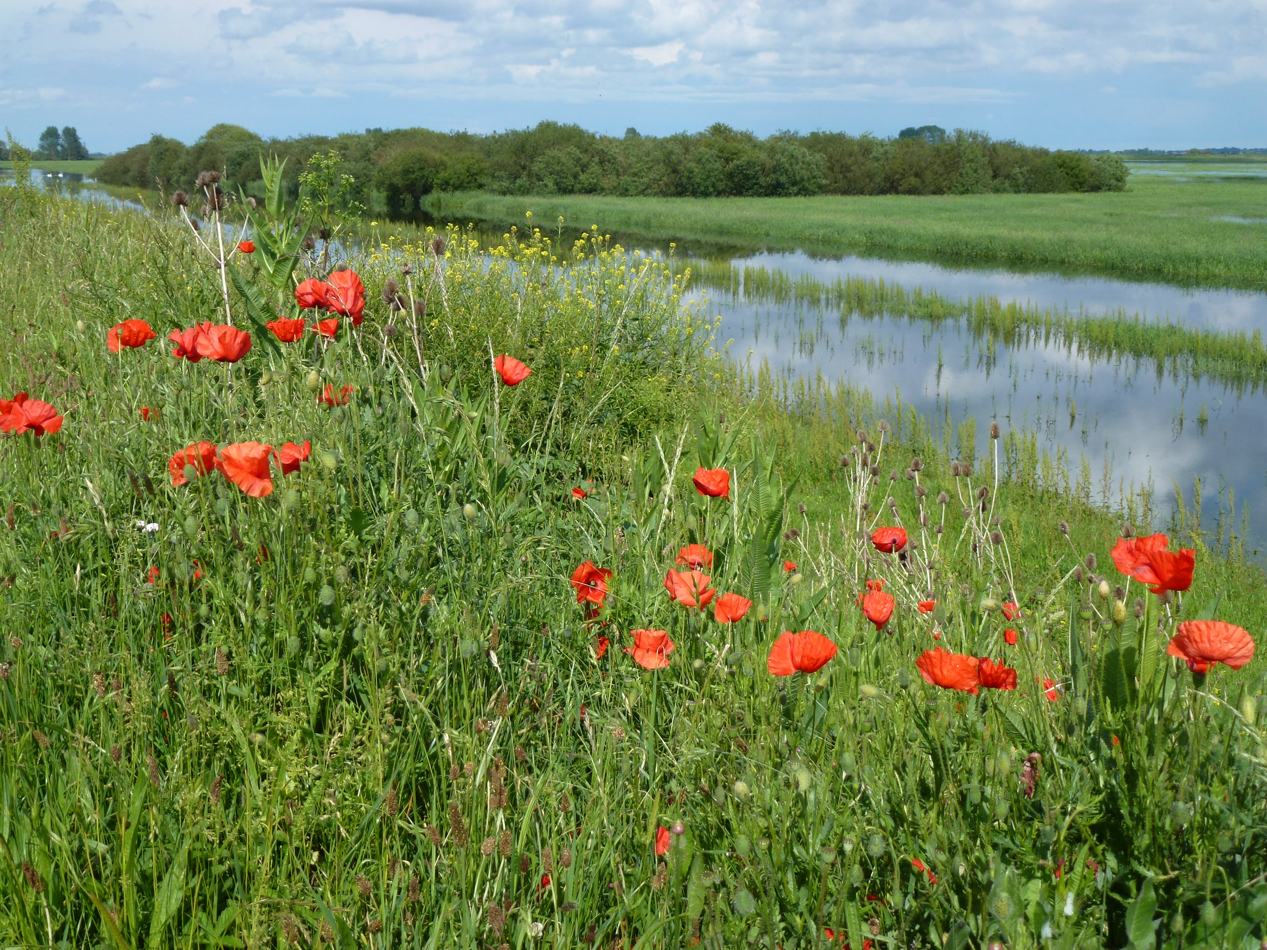 Cambridgeshire, United Kingdom