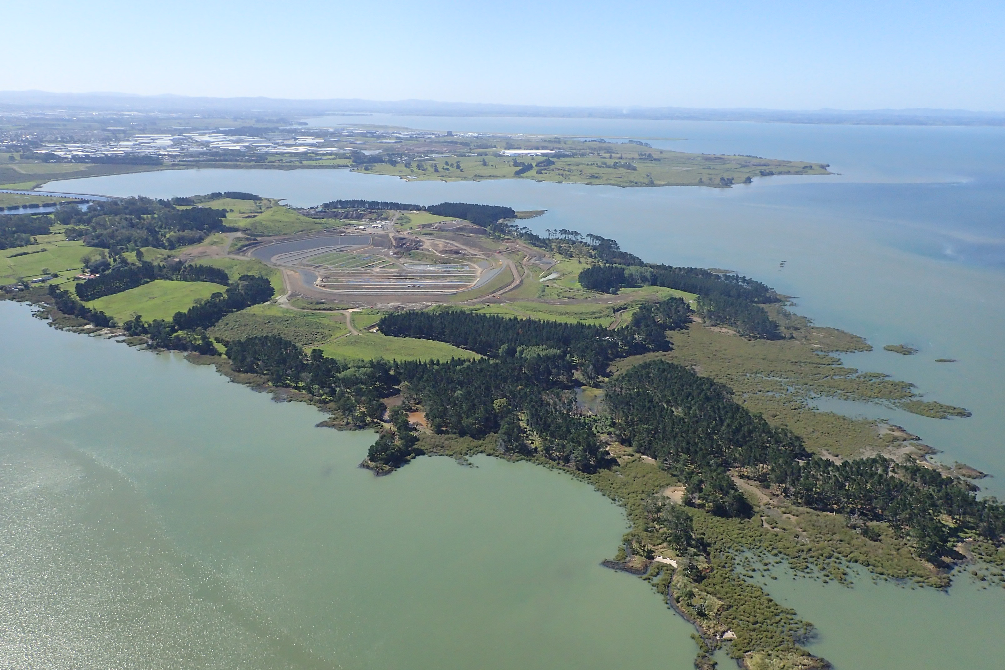 Puketutu Island