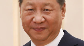 Image of Chinese President Xi Beheaded At Indian Festival