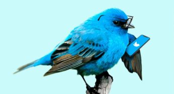 Twitter Responds To One Demand – But Still No Edit Function