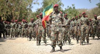 Final Assault on Tigray Begins In Ethiopia – As The World Watches