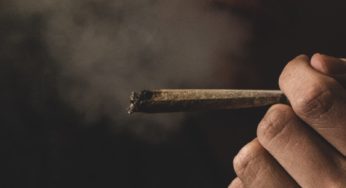 A Place Where Cannabis Is Tolerated, & Prosecutions Are Rare