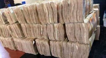 Businesses Refuse To Use Local Currency in Puntland