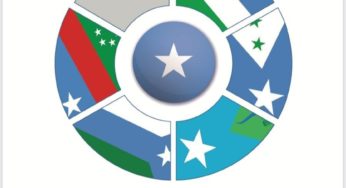 Why Are Internal Forces Against Federalism In Somalia?