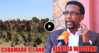Somaliland Opposition Urges Mutineers To Return To Barracks
