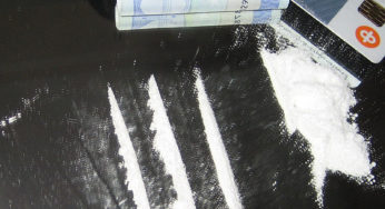 Massive Drugs Seizure In Europe Came From Paraguay & Panama