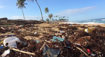 Taiwan Govt Policy Lacking When It Comes To Plastic Product Usage