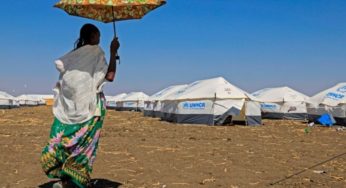 We Can No Longer Deny Ethiopia’s Atrocities In Tigray
