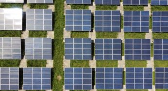 Coal India Is Going Green With 100 MW Solar PPA