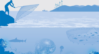 Leveraging Somaliland’s Blue Economy