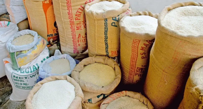 India bans rice export