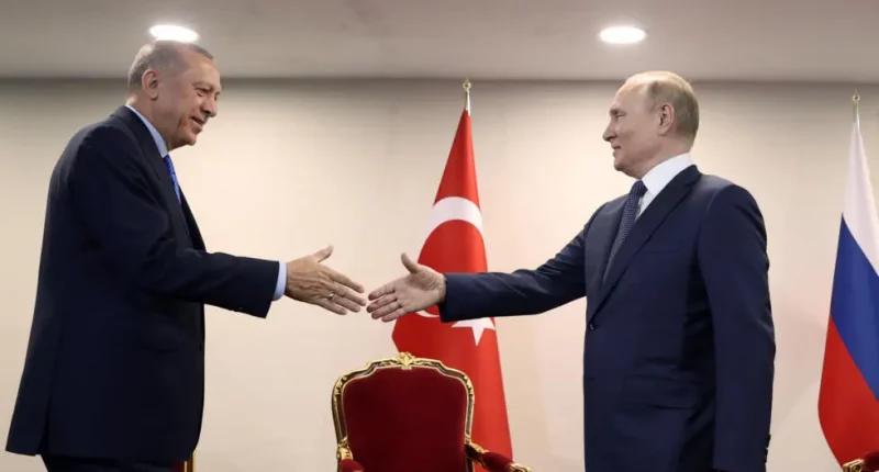 Meeting between Russian and Turkish Presidents