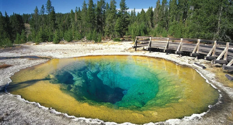 Yellowstone national park