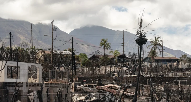 Maui Wildfire